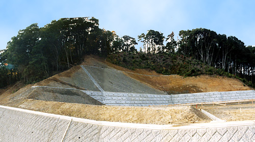 F邸　宅地造成工事